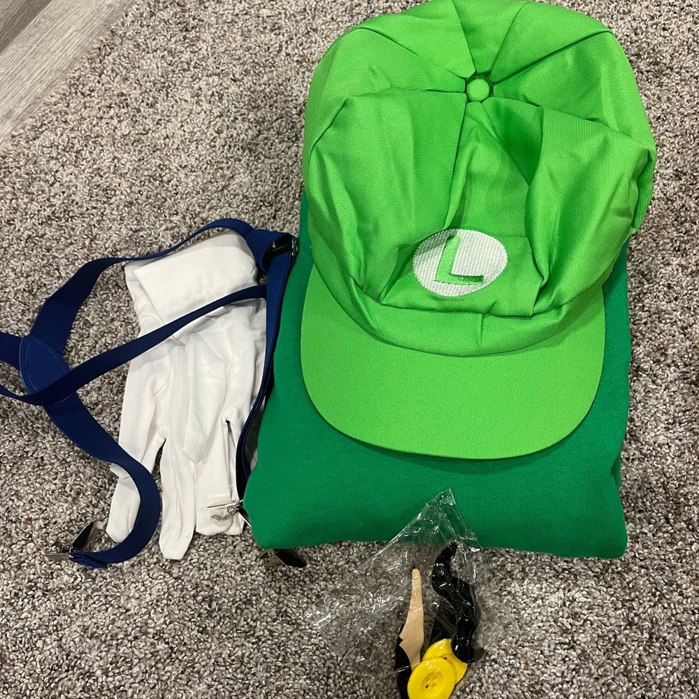 Luigi costume